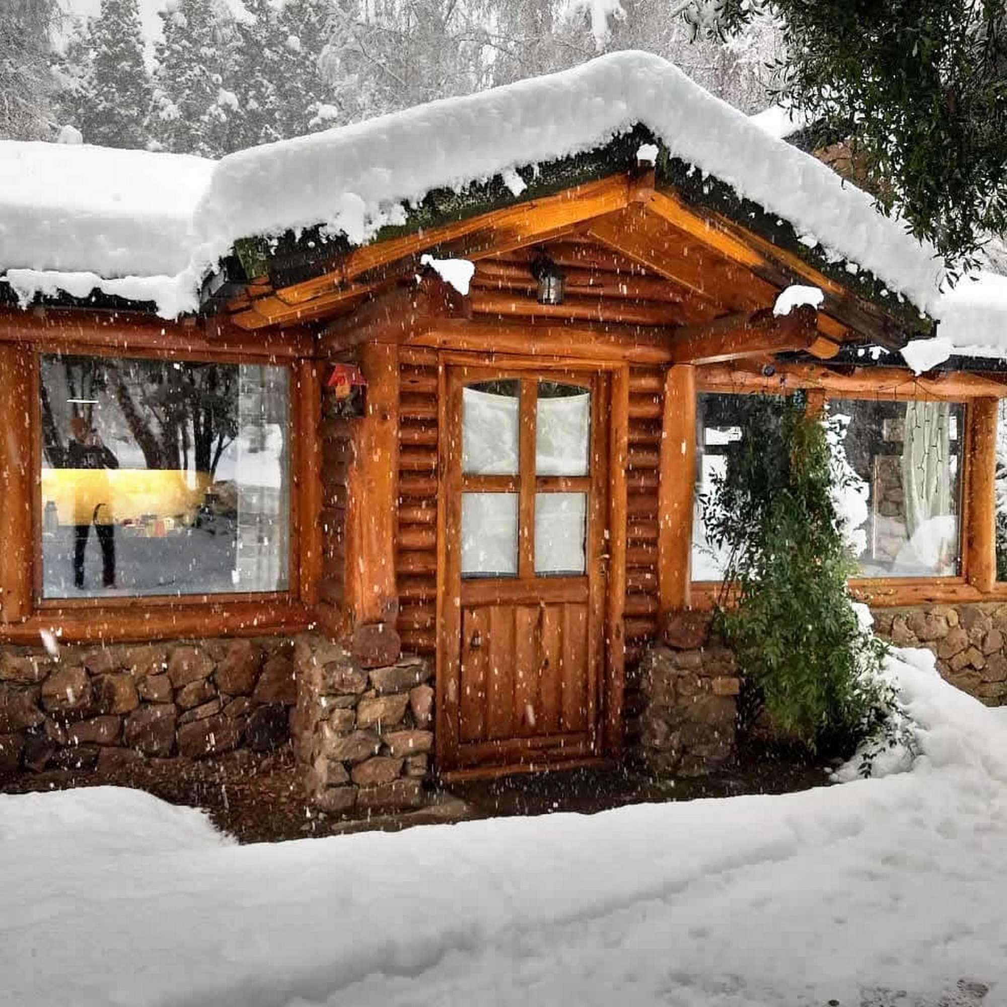 Cabañas En el Corazón del Bosque Bariloche